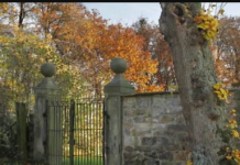 Mnogi nisu uspjeli: Ako za 12 sekundi pronađete skrivenu ženu na fotografiji, imate visok IQ