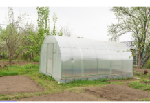 SAVA POSADIO PARADAJZ, A KAD JE VIDEO ŠTA JE NIKLO, IZNENADIO SE: Ogroman je i neobičnog izgleda, jedan težak skoro kilogram FOTO