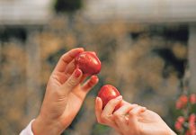 Ovo cveće obavezno treba uneti u kuću pre Vaskrsa: Veruje se da donosi sreću i napredak