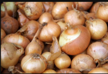 UZ OVU CAKU BIĆE SVJEŽ MJESECIMA: Evo gdje je najbolje čuvati crni luk da ne proklija, domaćice moraju znati