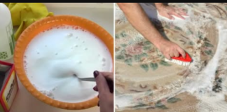 Odličan kućni trik za čišćenje TEPIHA: Samo ga jednom protrljajte i prljavština, mirisi i stare mrlje će nestati!