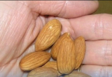 Večeras potopite 4 badema i ostavite: Ujutru ih pojedite i riješite problem koji muči mnoge