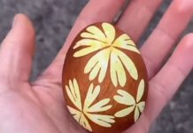 Starinski način da vam se TRAVKE jasno preslikaju na uskršnja jaja, nema uopšte mrlja – 3 laka koraka daće vam savršene šare (FOTO/VIDEO)