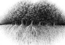 Ono što prvo vidite na slici, otkriće skrivenu tajnu vašeg karaktera: Saznajte kakvi ste zapravo u duši