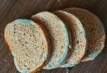 Zaboravite na buđ: Ovaj kuhinjski trik čuva hljeb i do tri sedmice