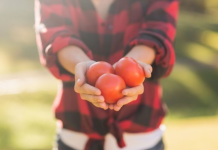 AKO SVAKI DAN BUDETE JELI PARADAJZ, OVO ĆE SE DESITI SA VAŠIM TELOM: Pogađa KRVNI PRITISAK i CREVA, šokiraćete se