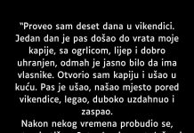 Proveo sam deset dana u vikendici…