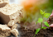 Svi ga koriste za hleb, a nemaju pojma da čini prava čuda u bašti: Pospite malo po zemlji i samo gledajte kako utiče na biljke