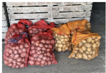 Deda ga je uvijek bacao u kesu sa krompirom i izdržali su do sledeće berbe: Ni jedan nije proklijao!