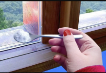 NAJJAČA KUĆNA MJEŠAVINA PROTIV ŠTETOČINA! Ovaj domaći rastor sipajte oko prozora i ispred vrata i nećete više vidjeti mrave, paukove ili muhe