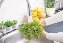 Kako se pravilno pere salata: U njoj se kriju nečistoće na koje nikad niste ni čuli