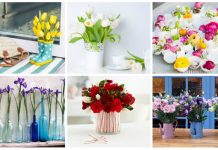 U skladu sa proljećnim raspoloženjem: Ovo je cvijeće koje će vam uljepšati balkon i zamirisati cijelu kuću