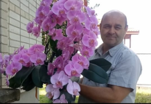Dobitnik nagrade u uzgoju orhideja otkrio je ključ da imate najljepše cvijeće oko sebe: VRLO JE JEDNOSTAVNO
