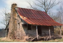 Narodna verovanja kažu da ovu biljku ni za živu glavu ne treba saditi u dvorištu: Tera sreću iz kuće i unosi maler