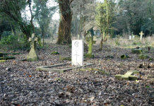 Snimak je otkrio SVE, da li je ovo MOGUĆE? – REDOVNO VIĐAO OVO NA MAJČINOM GROBU, PA SAZNAO JEZIVU ISTINU