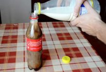 AKO NE VERUJETE, PROBAJTE SAMI: Pogledajte šta se dobije kada se pomešaju Koka-kola i mleko (VIDEO)