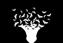 Šta vas očekuje u bliskoj budućnosti? Prvo što vidite otkriva da li vam stiže ugled ili ljubav