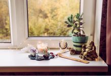 5 biljaka koje privlače novac i sreću u vaš dom: Posadite ih i gledajte kako se reka para sliva u vaš novčanik i kuću