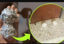 Kada ste u radnji, uzmite i ALUMINIJUM: Kod kuće, samo ga zgužvajte i stavite ispred vrata, ovaj problem će potpuno nestati!