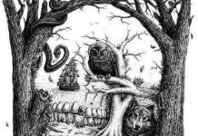 Saznajte istinu o sebi: Prvo što ugledate na slici otkriva vaše pravo lice – da li ste spremni za test?