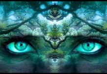 PROVJERITE KOLIKO STE SRETNI: Šta ste prvo vidjeli na ovoj slici otkriva vašu tajnu !!!!