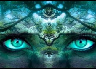 PROVJERITE KOLIKO STE SRETNI: Šta ste prvo vidjeli na ovoj slici otkriva vašu tajnu !!!!