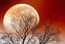 Od 23. avgusta stiže najlepši period za ovaj znak: Mlad Mesec u Devici njima će biti životni pokretač!!!!!!!