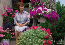 4 vrste cveća koje izdrže najgoru avgustovsku žegu: Upravo tada najlepše cvetaju