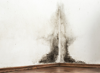 Stari SAVJET kako se zauvijek riješiti plijesni na zidovima u stanu: Nestat će i nikada se više neće pojaviti!