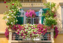 Kada treba uneti cveće sa terase? Pravila zavise od temperatura i vrste, a evo koje ne sme da ostane napolju