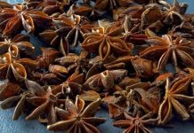 Neobična biljka osvježava dah, ali i štiti od gripe