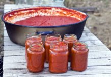 Paradajz sos po starinskom receptu: Savršen za zimnicu, vraća miris detinjstva