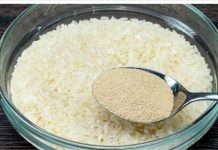 Pomiješajte rižu s kvascem i nikada nećete jesti kupljeni hljeb!