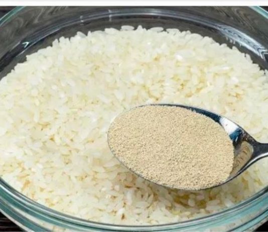 Pomiješajte rižu s kvascem i nikada nećete jesti kupljeni hljeb!