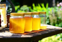 Pčelar upozorava: Sve što pčele proizvedu je lijek, ali patvoreni med je opasan