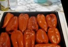ZIMNICA ZA 15 MINUTA! Bez napornog pečenja i ljuštenja paprika, kada jednom probate stalno ćete je spremati…