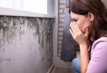 Nikada se ne biste sjetili: Vlage i buđi se najlakše možete riješiti ovim začinom