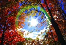 Sutra je Miholjdan, a evo šta će se desiti ako bude padala kiša