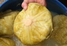 Ako pogriješite datum, sve vam može propasti: Evo kada se tačno kiseli kupus ove godine