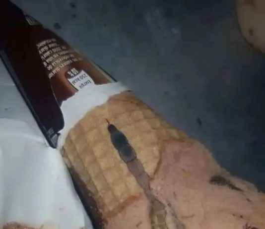 Moja ćerka je otvorila sladoled i unutra je našla nešto čudno — nismo odmah shvatili šta je to bilo.