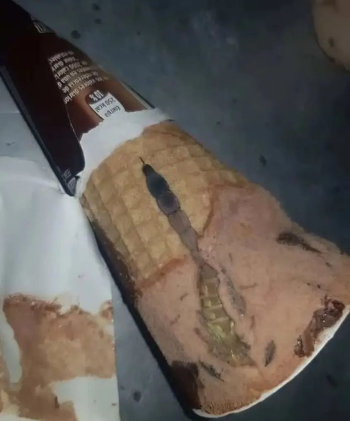 572265013_1462925582015488_7619459589899161687_n-696x837-1 (1)