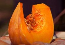 Spas za pluća, disajne puteve i imunitet: Ova biljka je pravo blago, jedite je svaki dan