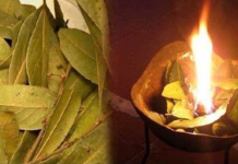 KADA SVE KRENE P0 ZLU: Zapalite list lovora u sobi i gledaje šta će se desiti nakon par minuta…