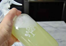 U Kući Više Nećete Naći Paukove, Muhe Ili Prehrambene Moljce: Jednostavno Kućno Rješenje Koje Će Ih TRAJNO 0tjerati (RECEPT)!