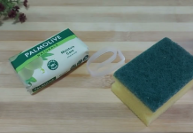 Umrla bih, A NE BI ZNALA: Uradim ovo i toalet miriše 100 dana!