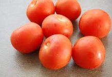 U jesen sam zakopao cijeli paradajz u svojoj bašti: Evo iz čega je izrastao usred ljeta!