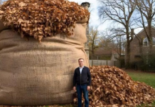 NIKAD ne bacaj jesensko lišće! EVO ZAŠTO