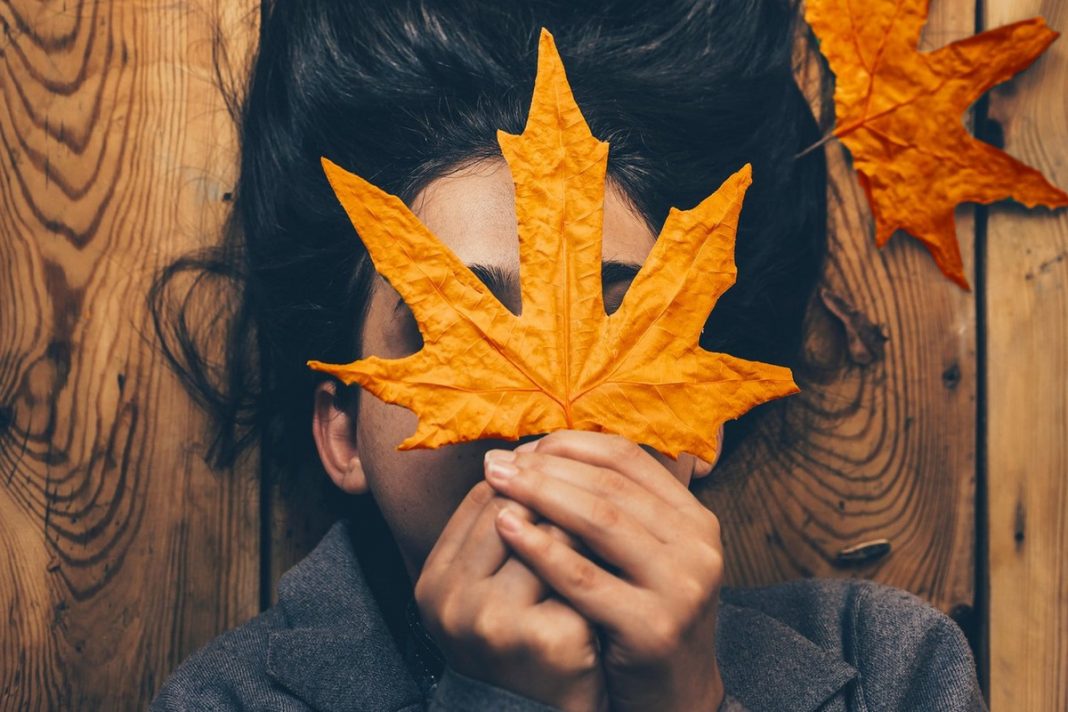 1200x800-db3ecb38-38e4-11eb-8317-0242ac15000f-1068x712