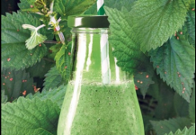 Ovaj napitak od koprive popravlja krvnu sliku, čisti pluća, jetru i žuč – Evo kako da ga napravite!