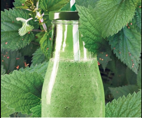 Ovaj napitak od koprive popravlja krvnu sliku, čisti pluća, jetru i žuč – Evo kako da ga napravite!